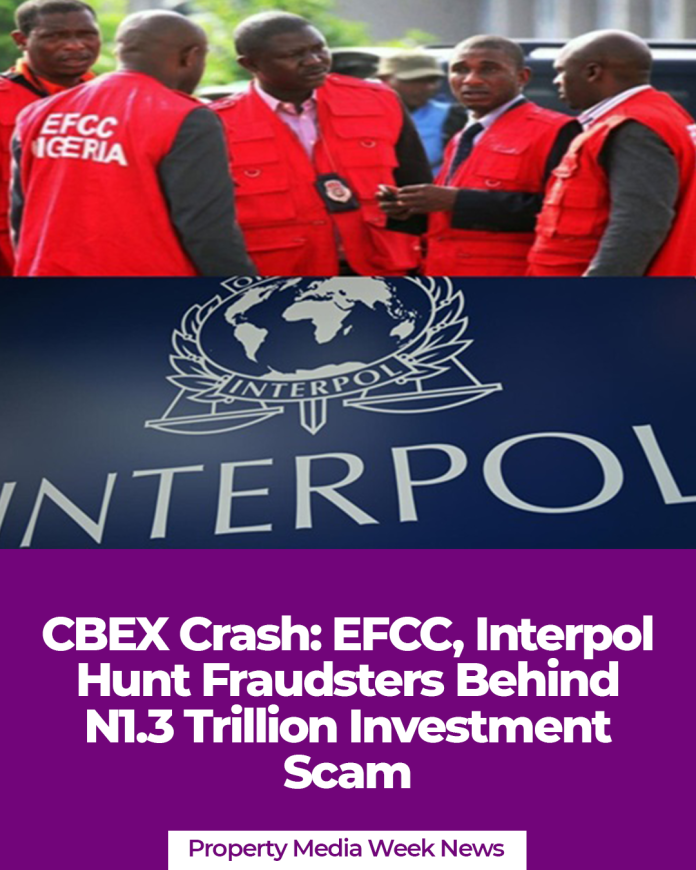 CBEX Crash: EFCC, Interpol Hunt Fraudsters Behind N1.3 Trillion Investment Scam